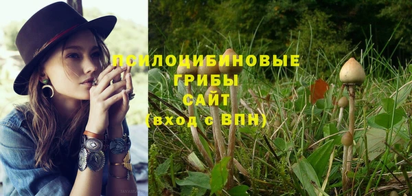 МДМА Каменка