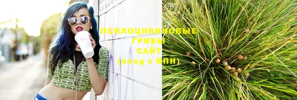 мескалин Каменногорск