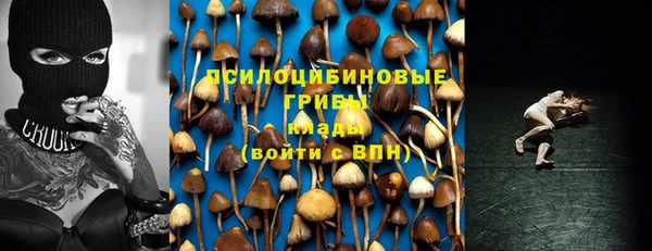 мескалин Каменногорск