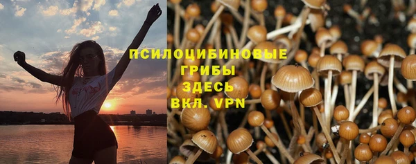 МДМА Каменка